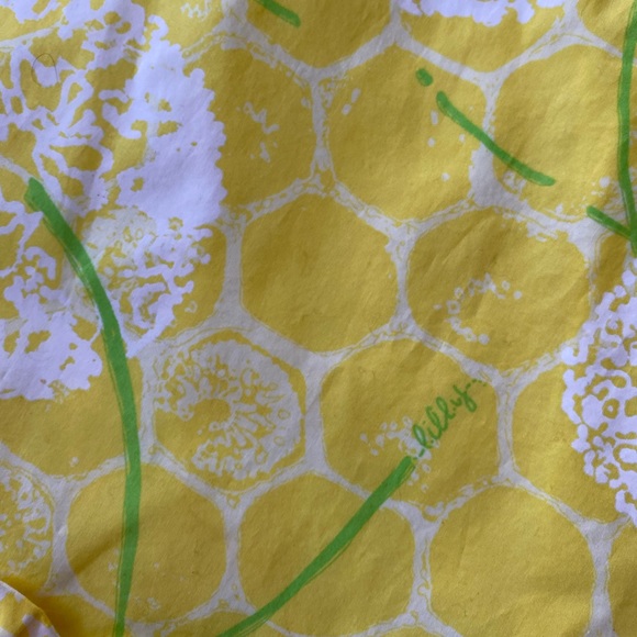 Lily Pulitzer Ollie dandelion dress - Picture 2 of 4